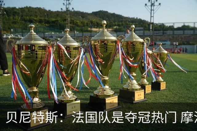 贝尼特斯：法国队是夺冠热门 摩洛哥、挪威、塞内加尔有黑马潜质